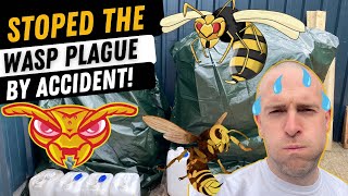 Biggest & Best Wasp Trap In The World!....By Accident!!