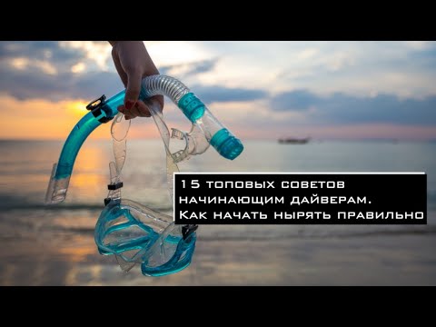 15 топовых советов начинающим дайверам.  Как начать нырять правильно