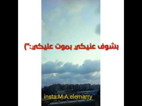 حالة واتساب مهرجان البت الفرسة