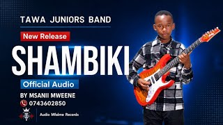 Shabiki by tawa juniors band (msanii mweene) official audio
