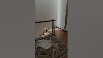 ﴿ قُلِ الحَمدُ لِلَّهِ بَل أَكثَرُهُم لا يَعقِلونَ ﴾ ❤️. ————————— سورة العنكبوت