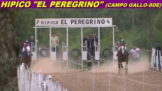 WIPALA en HIPICO "EL PEREGRINO" (CAMPO GALLO-SDE 16-05-26)