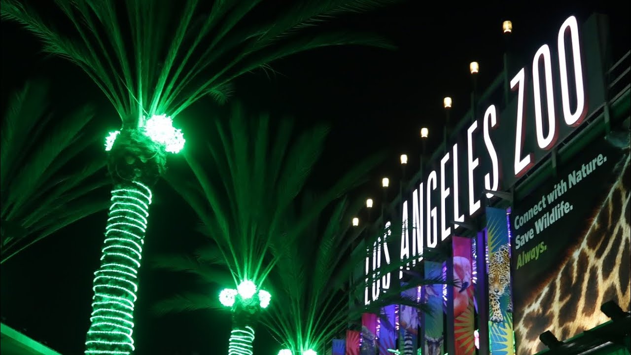 LA Zoo Lights - Animals Aglow - 2022 - YouTube