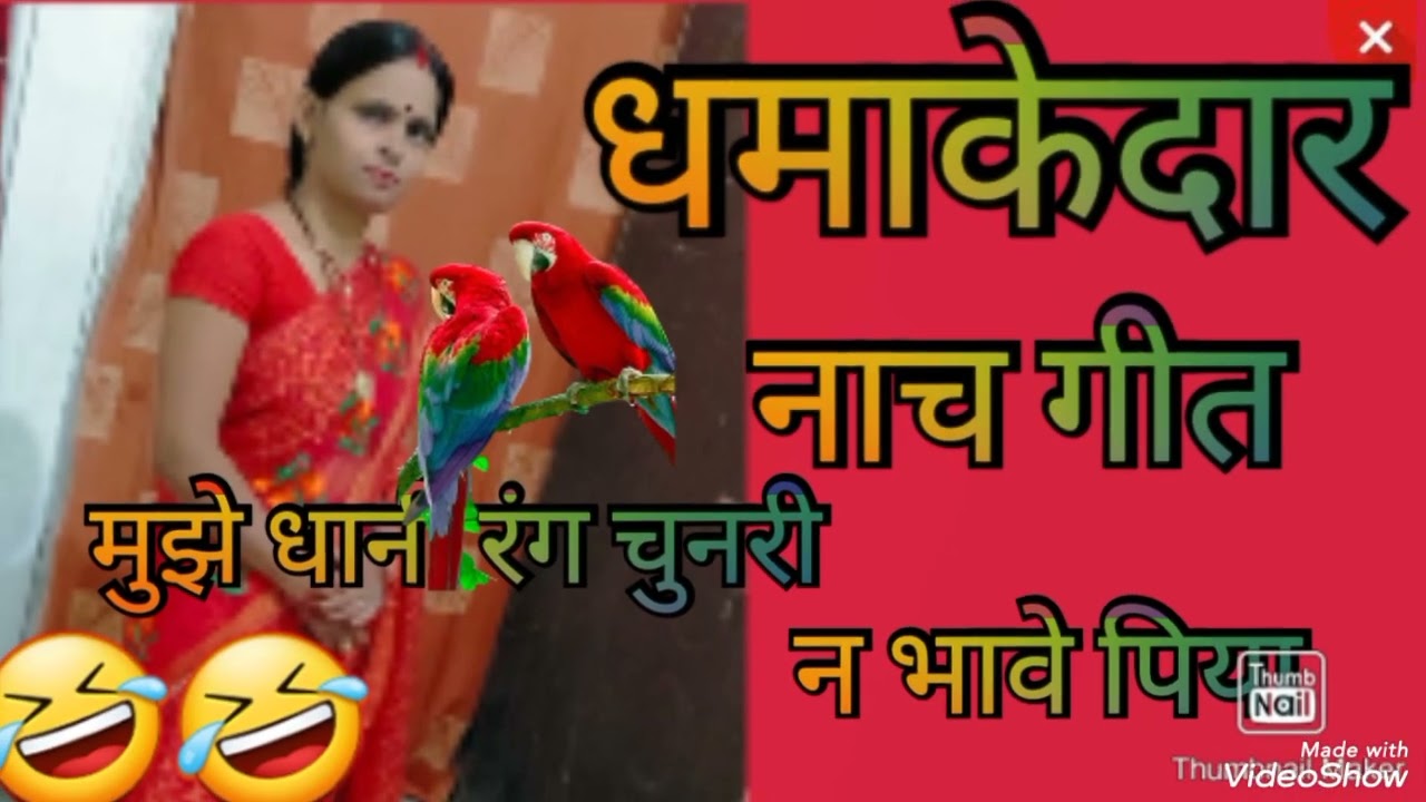 धमाकेदार नाचगीत #🤣🤣 मुझे धानी रंग चूनर न भावे पिया # latest nachgeet 