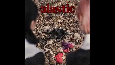 Anomaly (Single) - The Disillusioning (2014) - Elastic