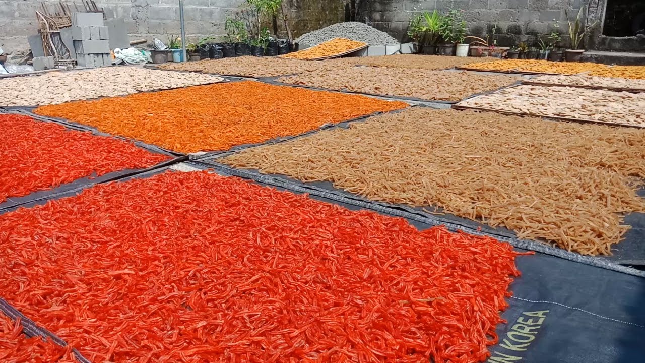 Pembuatan KERUPUK ANEKA RASA Secara Tradisional | Proses Produksi di Pabrik #Kerupuk