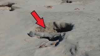 Tourists noticed a LEG sticking out of the pit! They were stunned by what they saw!