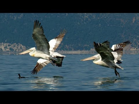 Πρέσπα : Η λίμνη της συμφιλίωσης