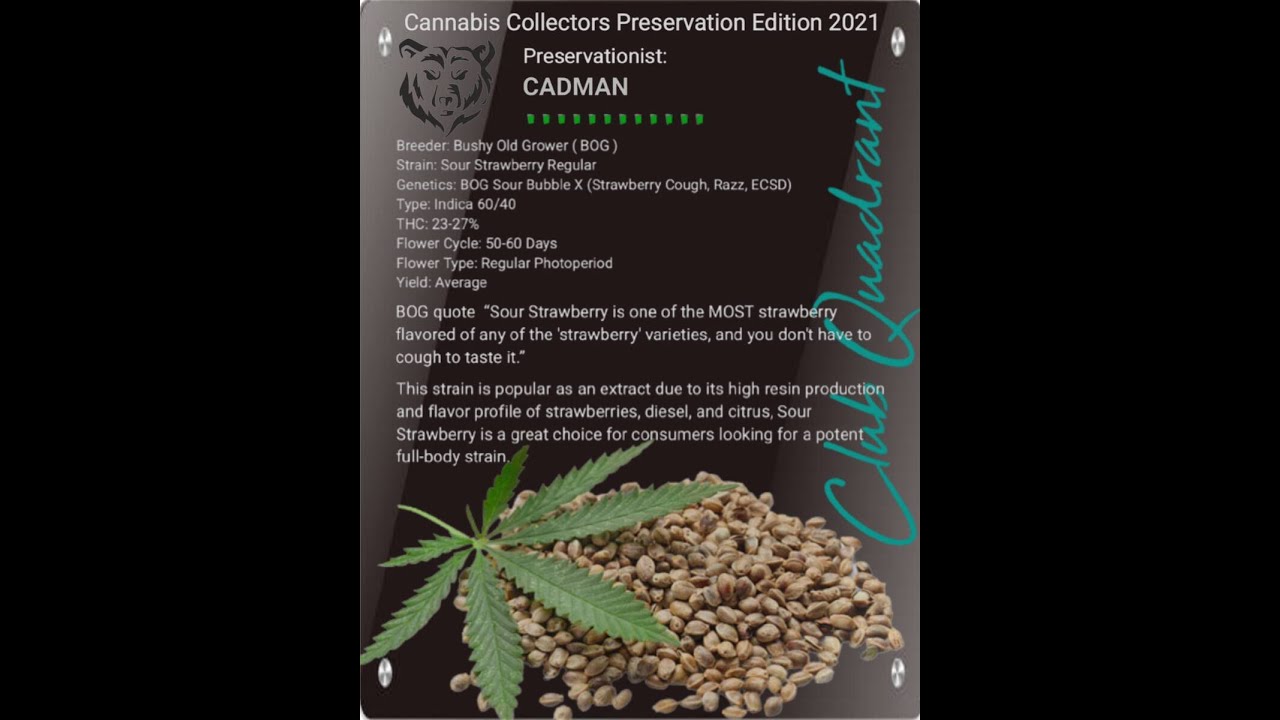 BOG Sour Strawberry preservation by CadMan