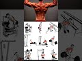 back workout gym training 🔥 #motivation #shoulder #strongabs #sports #advancedabworkout #gym #abs