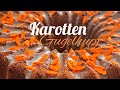 saftiger KAROTTEN 🥕 Gugelhupf / schnell / einfach / lecker