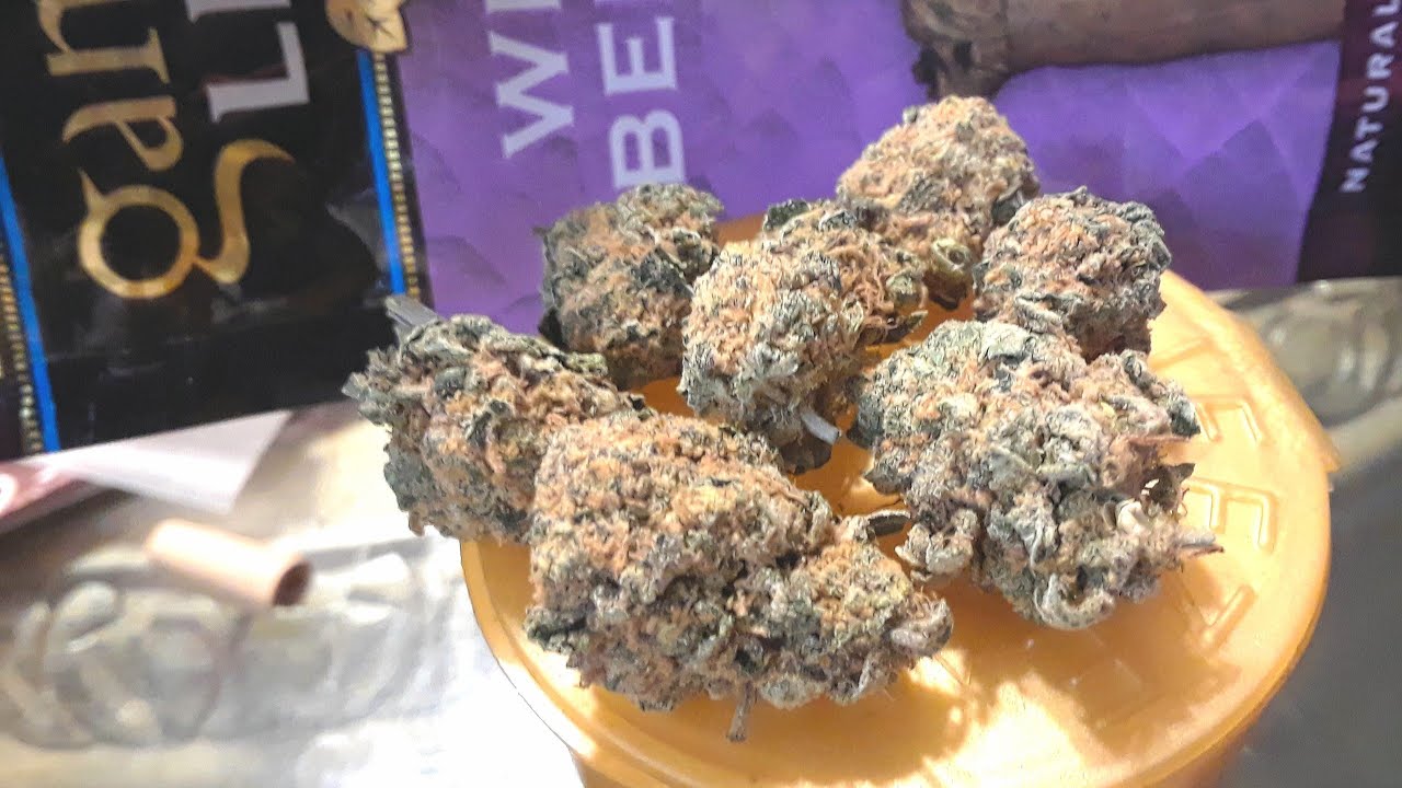 STRAIN ALERT:BLUE COOKIES INDOOR
