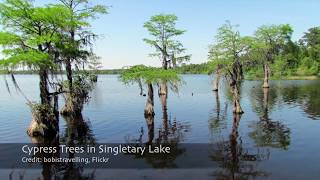 Introduction to Coastal Drought