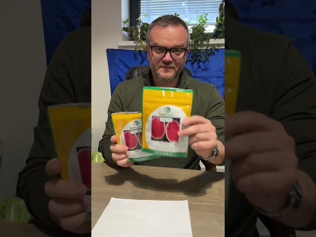 Насіння кавуна Монро розлітається як пиріжки