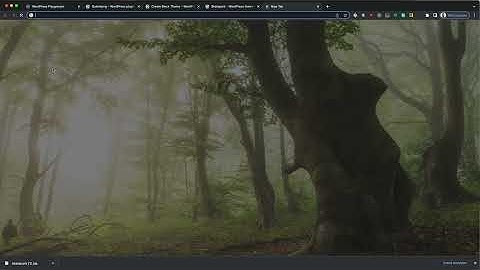 How to start using WordPress Playground