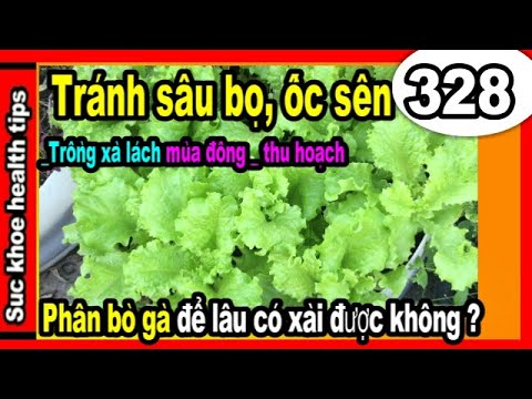 Video: Cách chăm sóc sên vườn thú