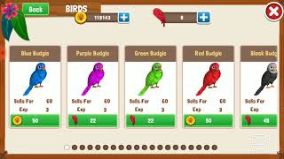 BİRD LAND PARADİSE : PET SHOP GAME PLAY WİTH BİRD ( OYUNUN LİNKİ AÇIKLAMADA ) screenshot 2