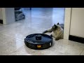 Атака китайского робота - пылесоса на кота, который ему мешал...