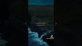 Subhanallah ♥️🙏🏻 #allah #mahshallah #allahuakbar #islamicvideo #islam #islamic #subhanallah subha