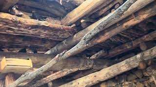 Türkiyenin En Kaliteli Kumruları