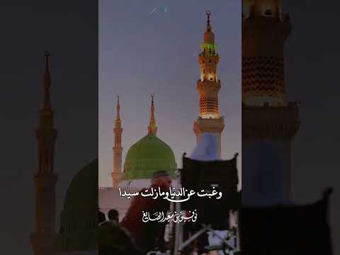 أضاءت بك الدنيا الشيخ توفيق الصايغ