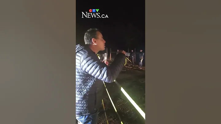 Cull goes ahead at B.C. ostrich farm