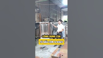Ứng dụng thực tế của tủ nấu cơm: Hơn cả nấu cơm thông thường