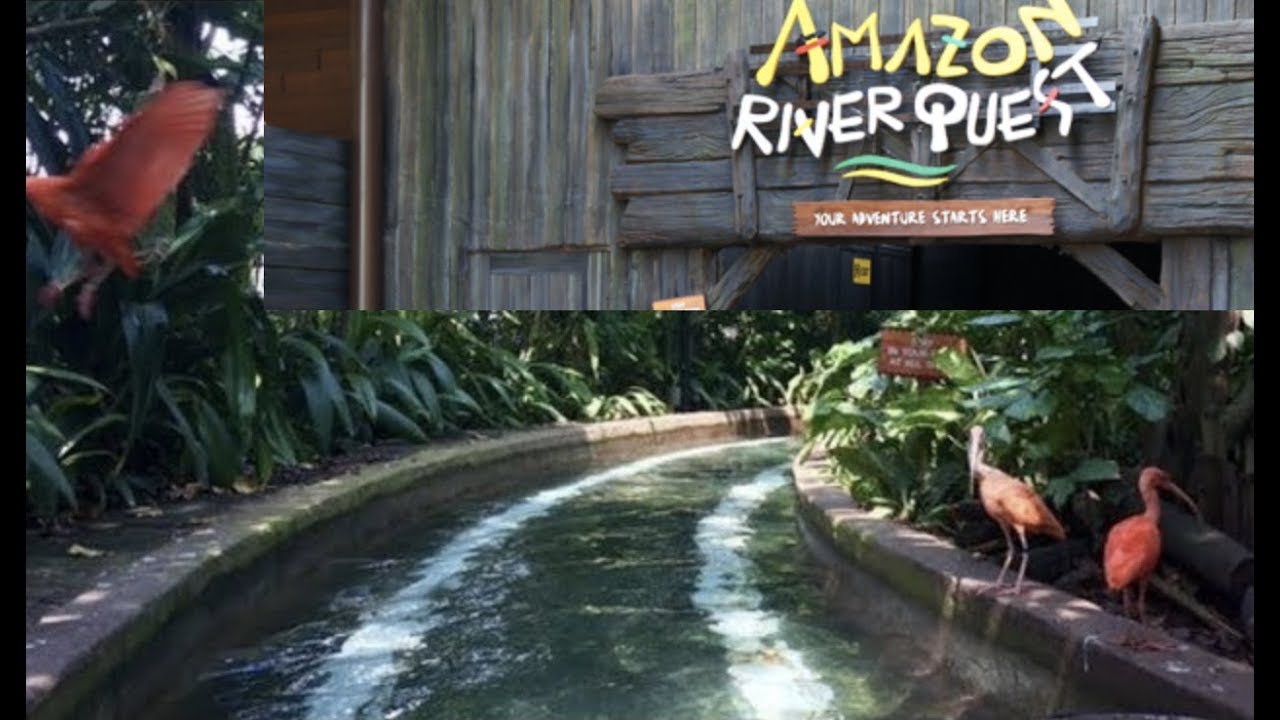amazon river safari singapore
