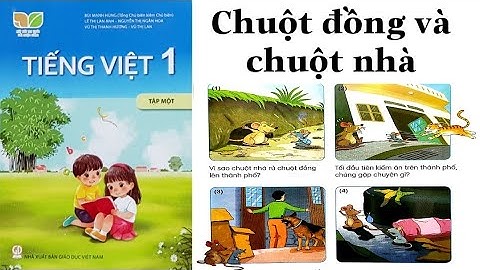 KẾT NỐI TRI THỨC | CHUỘT NHÀ VÀ CHUỘT ĐỒNG | Tiếng Việt Lớp 1 | Kể chuyện | Bài 70