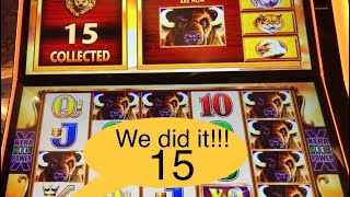 ..15.. Heads On Buffalo D Revolution