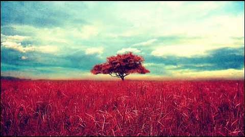 عطر مسامعك تلاوة خاشعة من روائع  نايف الفيصل