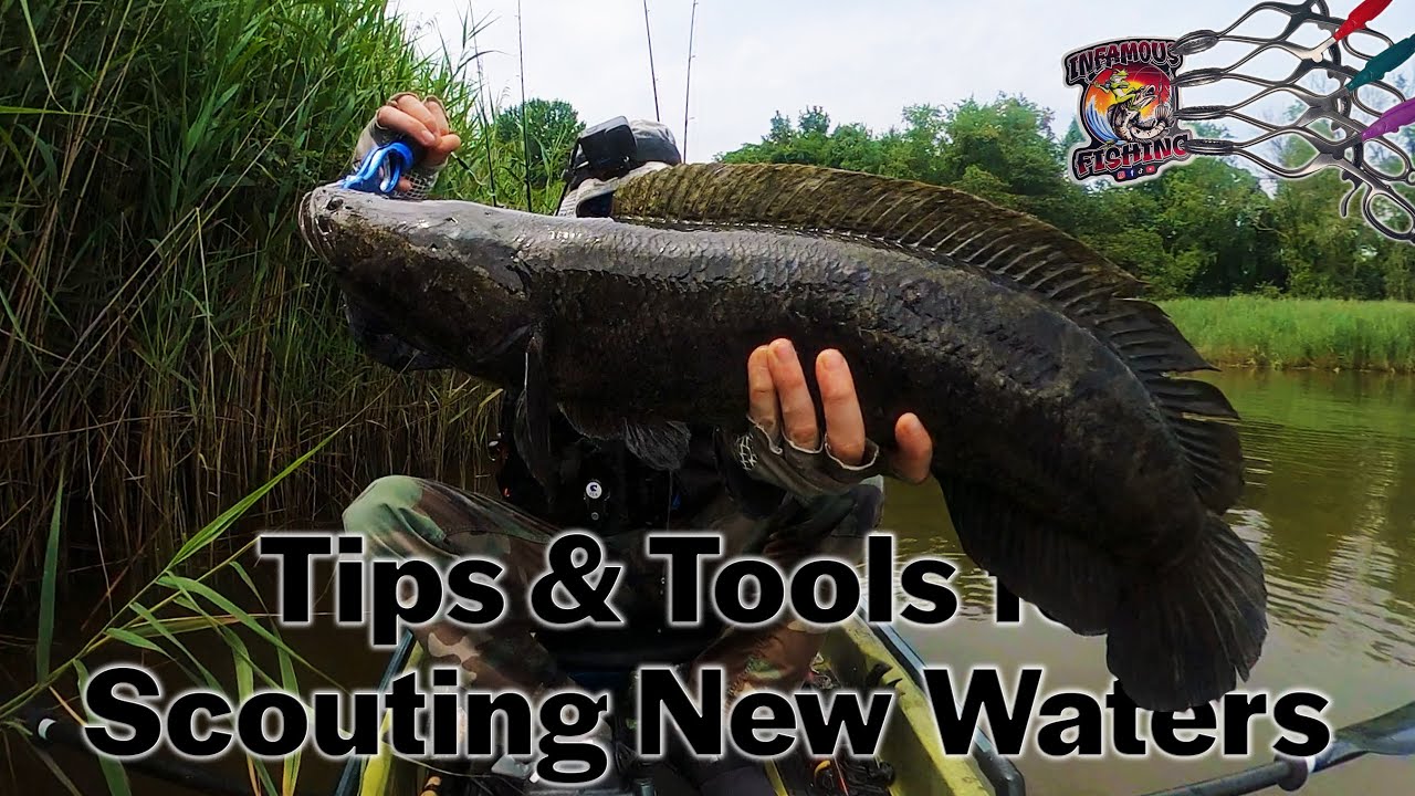 Scouting New Waters: Tips, Tools, NEW Jaw Cranks, and a MASSIVE Snakehead 
