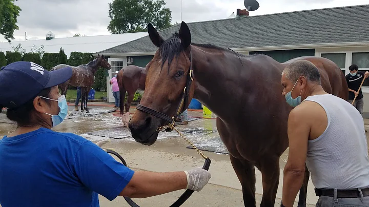 Power Up Paynter Watch Party