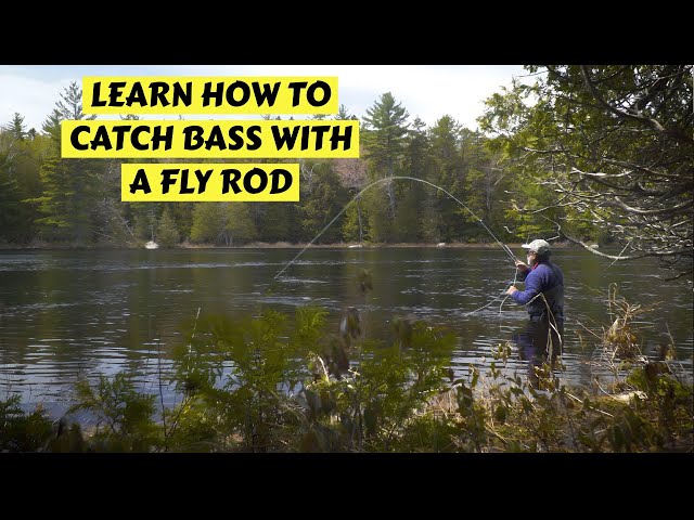 Successfully Fly Fish for Bass 