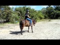 South FL SPCA - Volunteer Maria Riding Pepsi the Pony