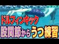 【バタフライ】キックの基本は足全体を使うことです!初心者からできるキック練習法を紹介!/腸腰筋/練習/コツ #218