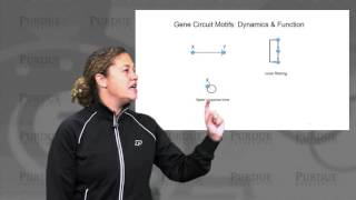 nanoHUB-U Biodesign L6.3: The Future - Wrap Up