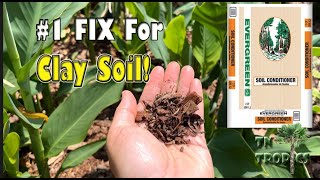 Number One Fix For Clay Soil In Your Garden