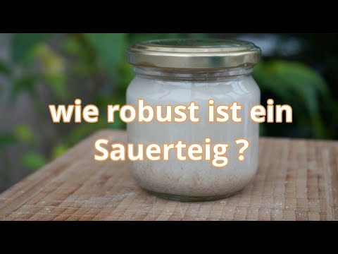 Sauerteig Profiwissen -