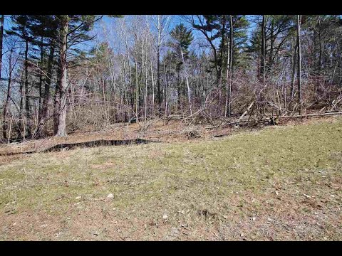 842 Lincoln Castle, Green Bay, WI home video tour