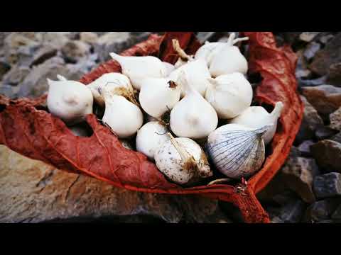 Tunceli Dersim Doğa