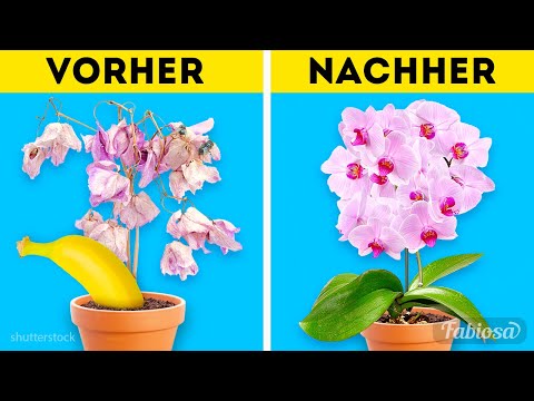 Video: Fünf Natürliche Düngemittel Für Blumen