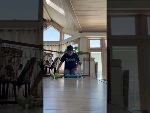 8 Lane Knockout Race 8