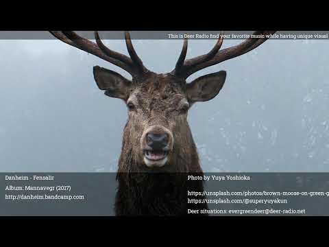 Deer Radio 24/7: find your favorite music while having unique audio visual deer experience!