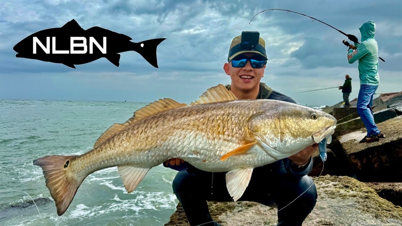 Рыбалка с причала с приманками NLBN! (Порт-Аранзас, Техас)