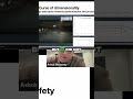 Tesla AI Is 200 IQ