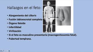 Hermafroditismo