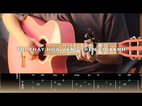 Tôi Thấy Hoa Vàng Trên Cỏ Xanh (Tone Am - Easy Tab) - Ost