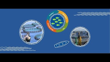 BLUEfasma project: driving the growth of Blue Circular Economy in fisheries & aquaculture