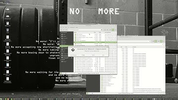 How to setup Windows 10 Virtual Machine on Linux Mint 19 Host Operating System Using VMware Player